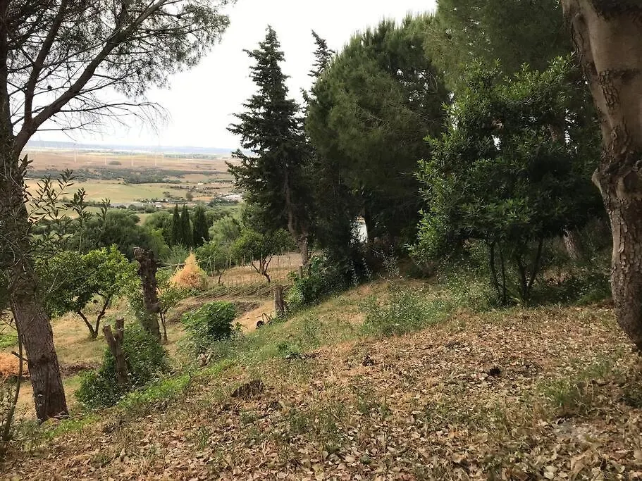 Holiday home Villa Loba. Apartamento En Casa Rural. Facinas Spain